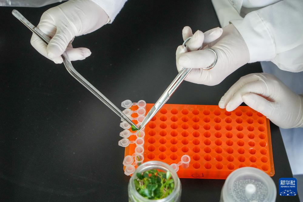 2026040279a2070b4ae244ba84c558d76916941b_2026040240c3af4d89bf452d9150151acfd86c66 (1).jpg