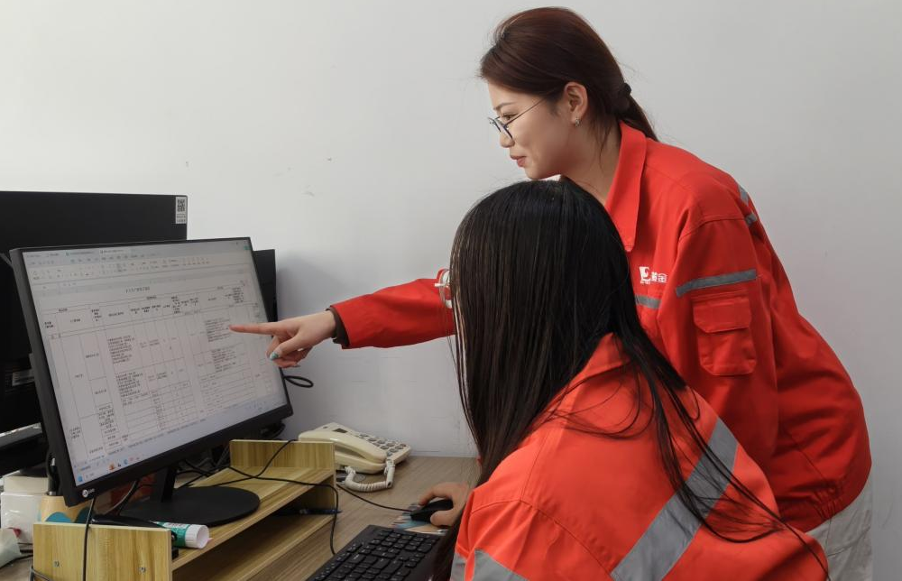 聚焦“四严”管理：嵩县山金公司扎实推进投资计划工作提质增效