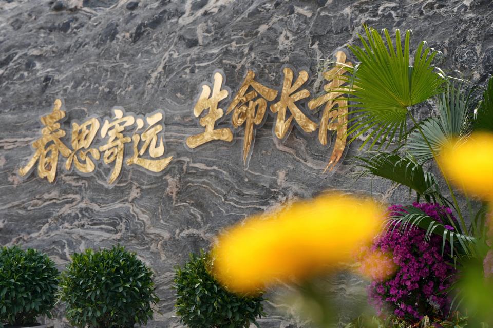 新华网民生观察丨生态安葬，从被动接受到主动预约