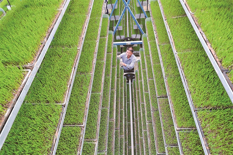 这个春天，当农业生产遇上数智技术