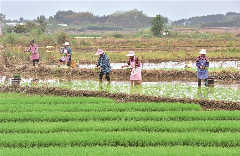 这个春天，当农业生产遇上数智技术