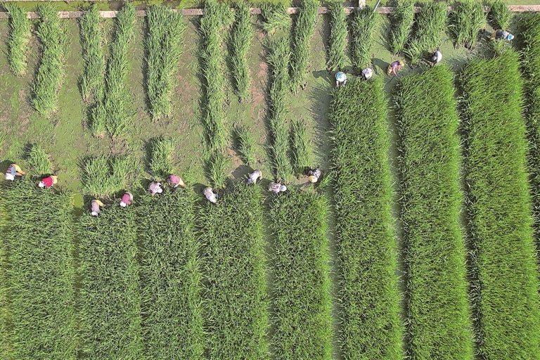这个春天，当农业生产遇上数智技术