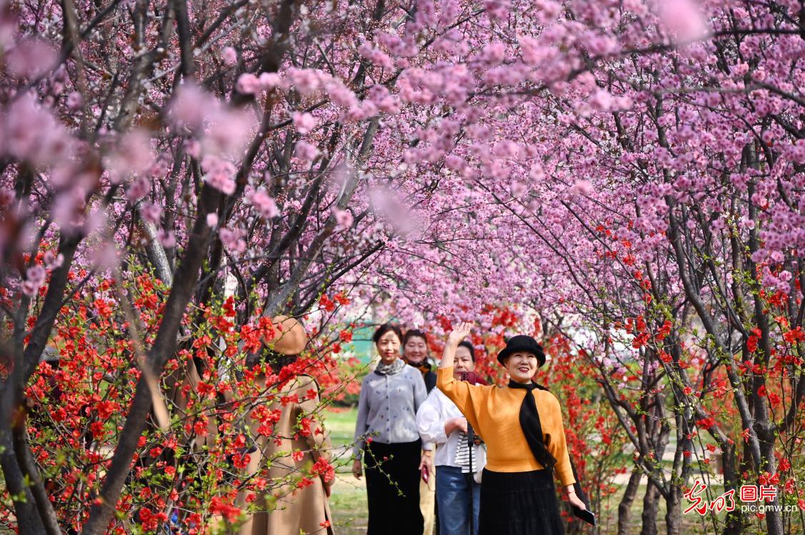 踏青赏花 乐享春光