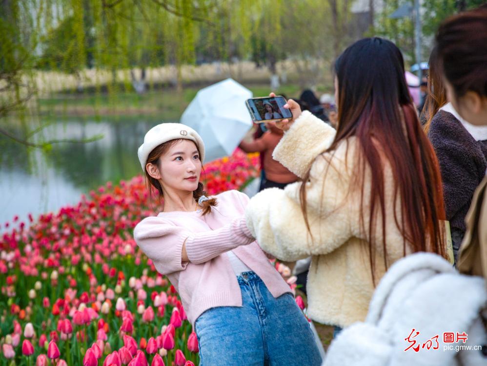 踏青赏花 乐享春光