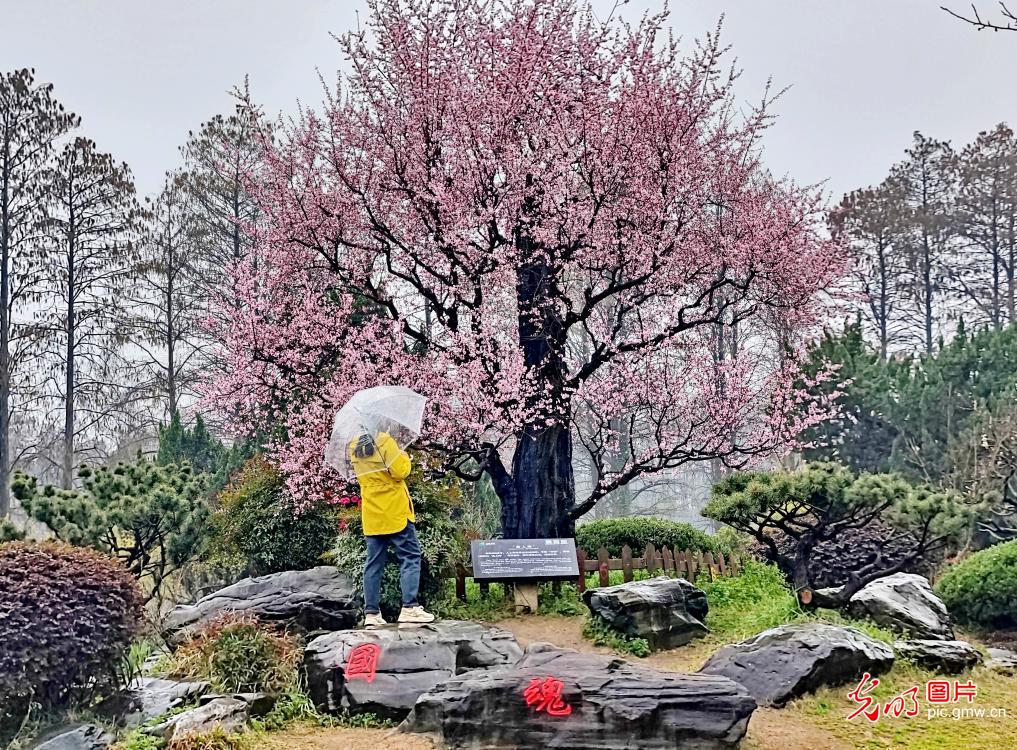 踏青赏花 乐享春光