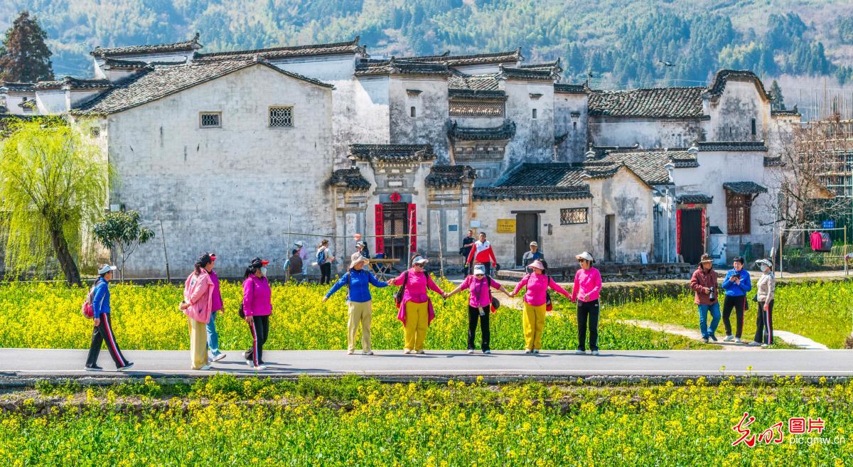 踏青赏花 乐享春光