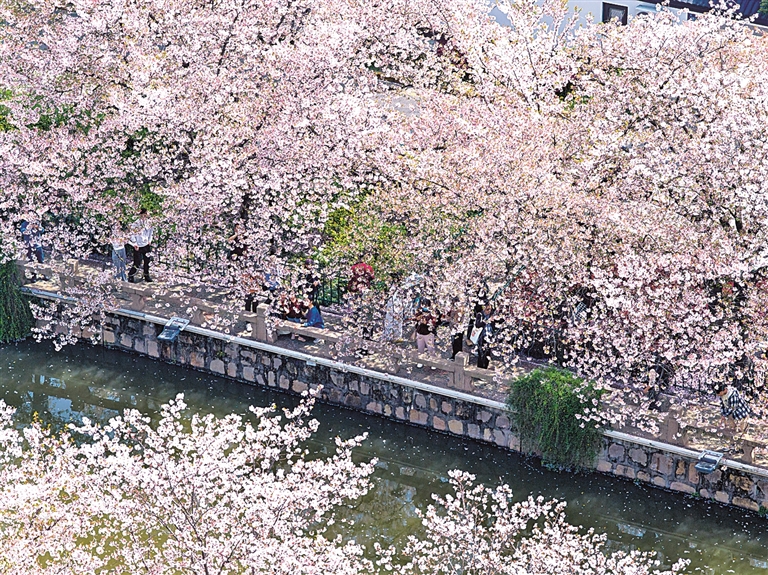 春假来了，春日经济活力迸发