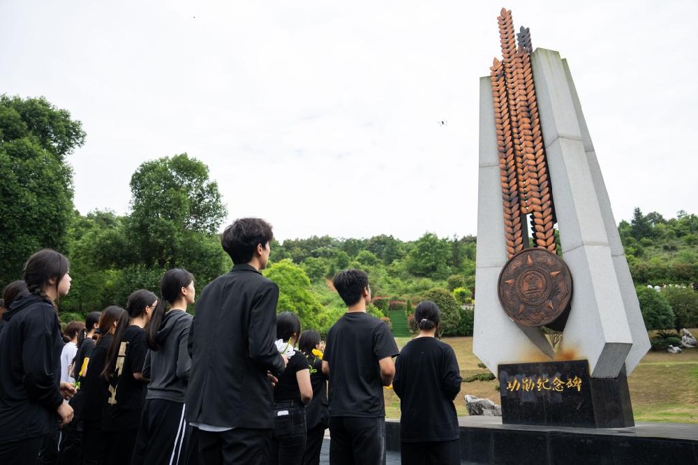 杂交水稻研究取得多项阶段性成果