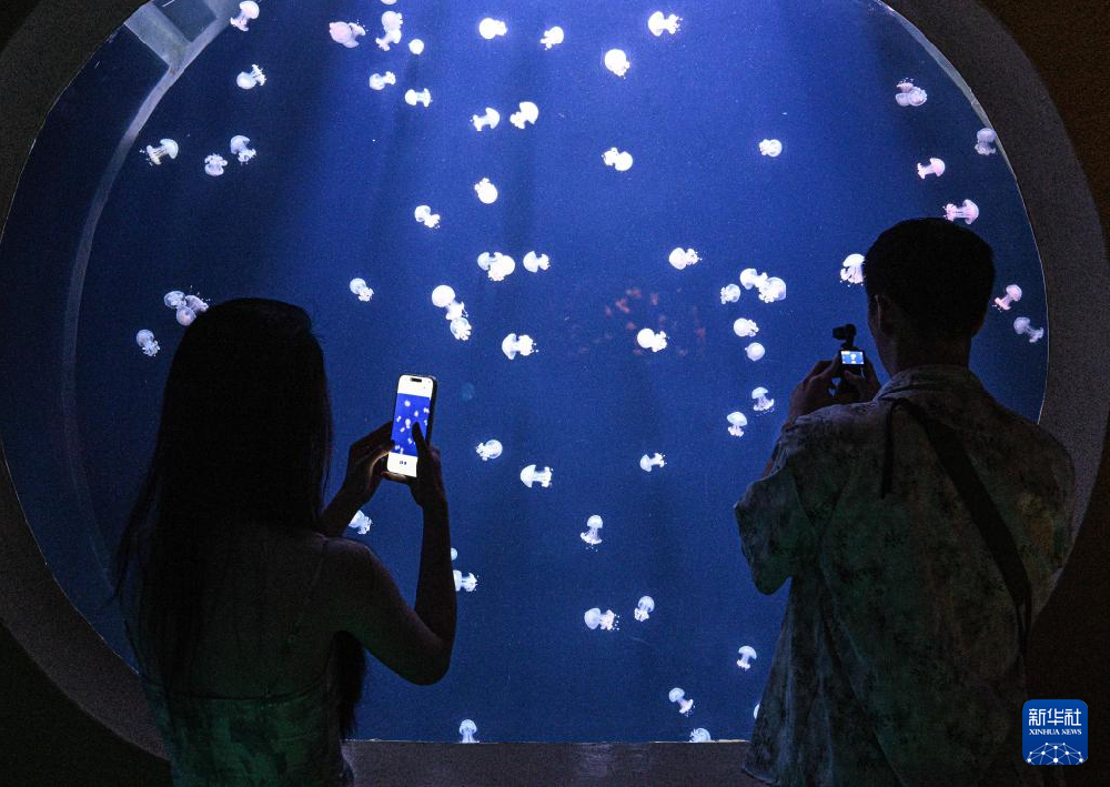 海洋生物多样性之美激发文旅活力