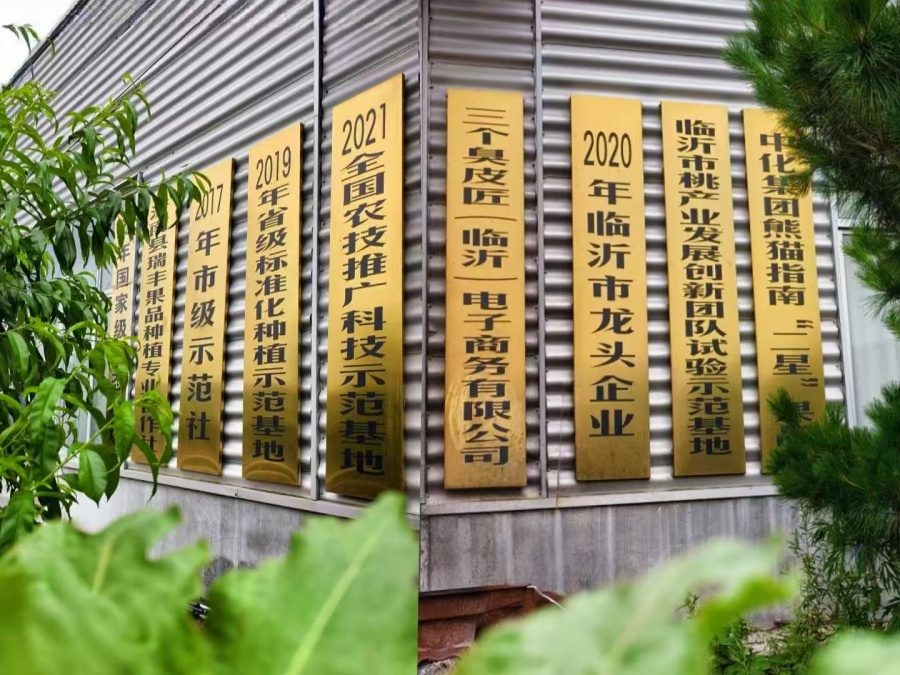 微信图片_20260916180008_48_855_副本.jpg