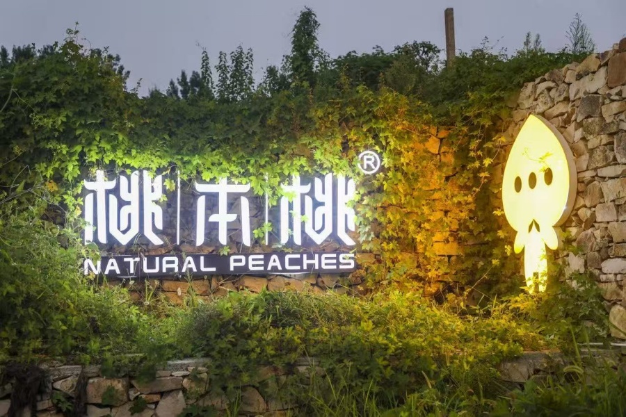 微信图片_20260916180145_56_855_副本.jpg